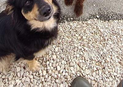TESS et BELLA